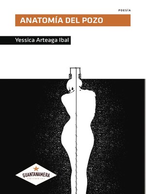 cover image of Anatomía del pozo
